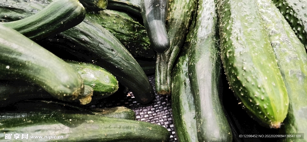 黄瓜