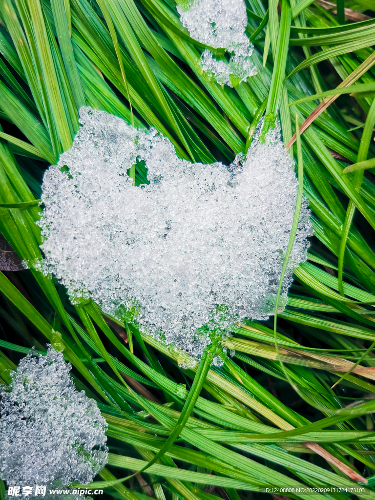 小草与雪