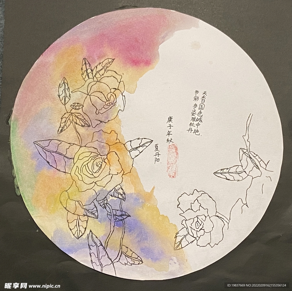 线描月季