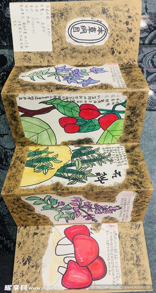 乡书