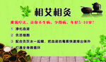艾灸不干胶