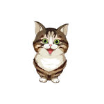 猫