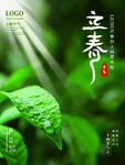 立春             