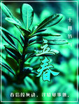 立春             