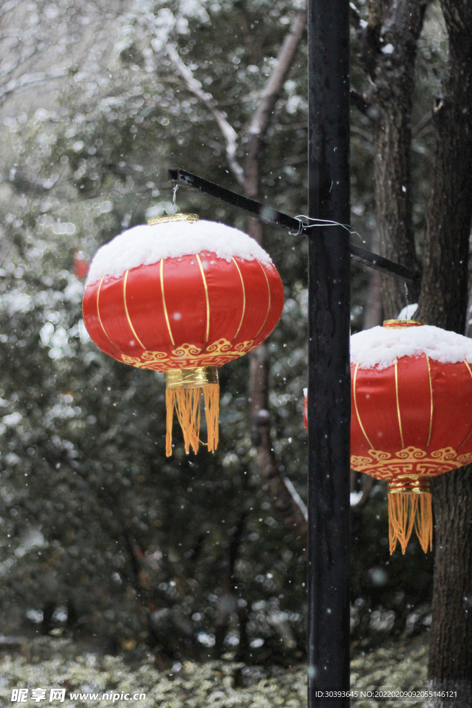 春节落雪灯笼摄影