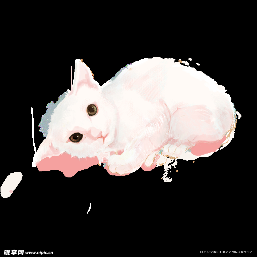 手绘卡通猫图片