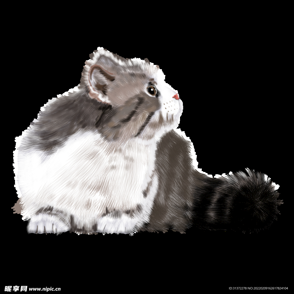手绘卡通猫图片 