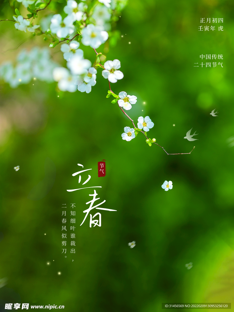 立春