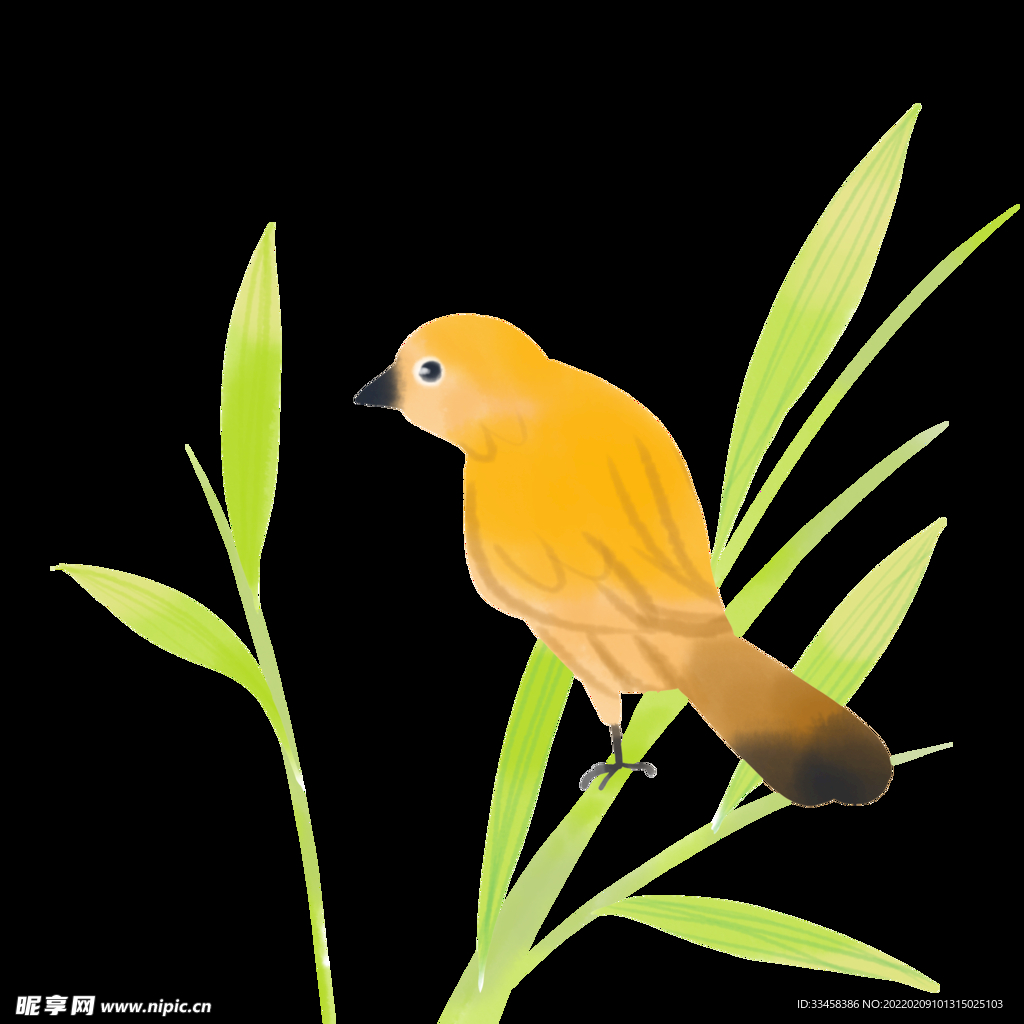 春分小鸟
