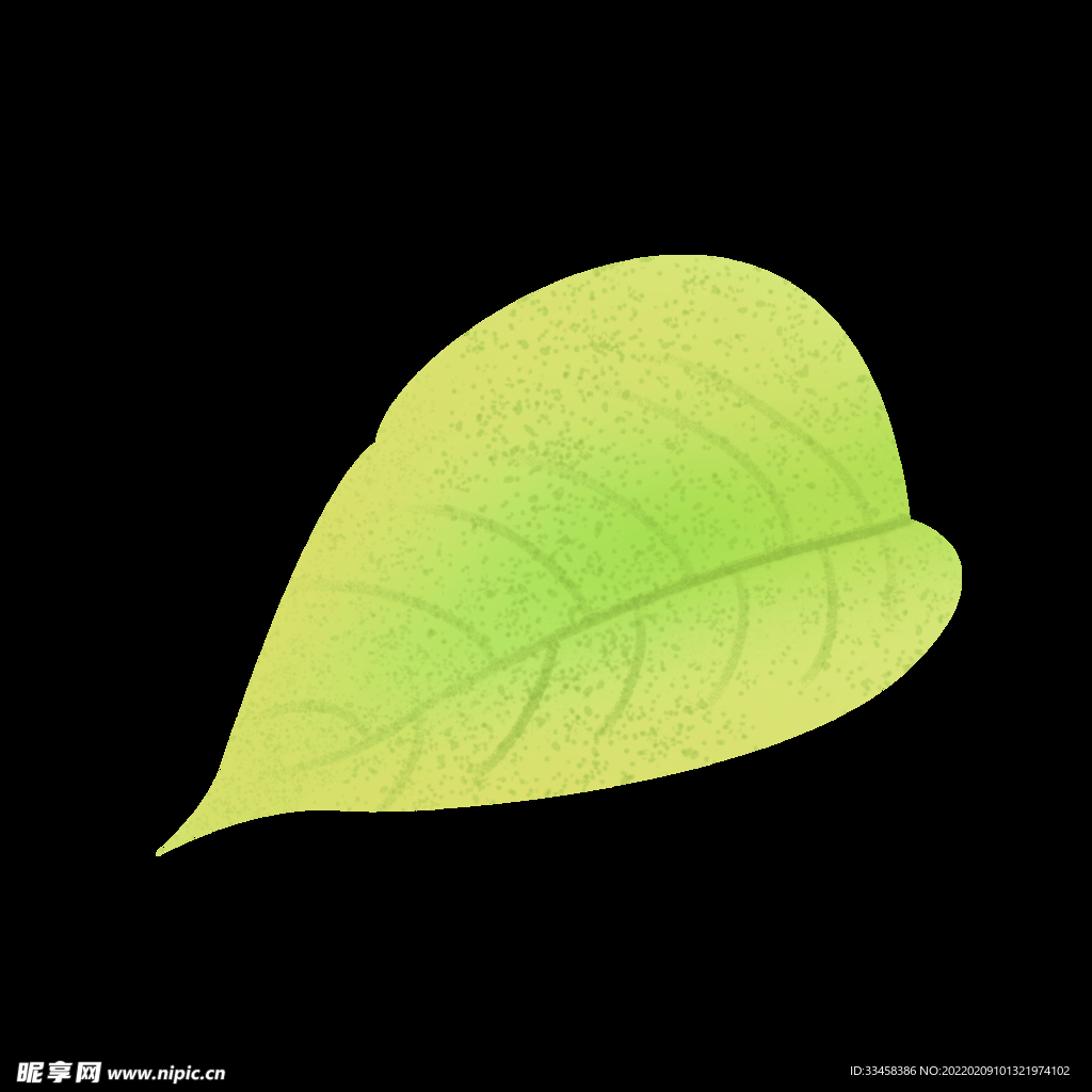 春季黄绿色嫩叶清新