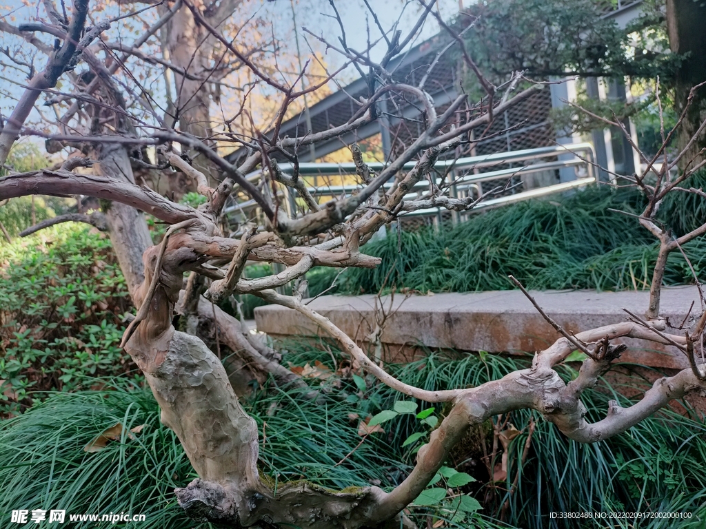 风景