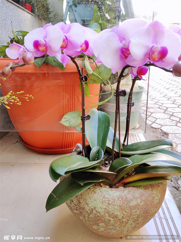 花