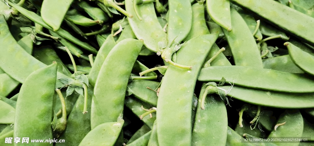 豌豆荚