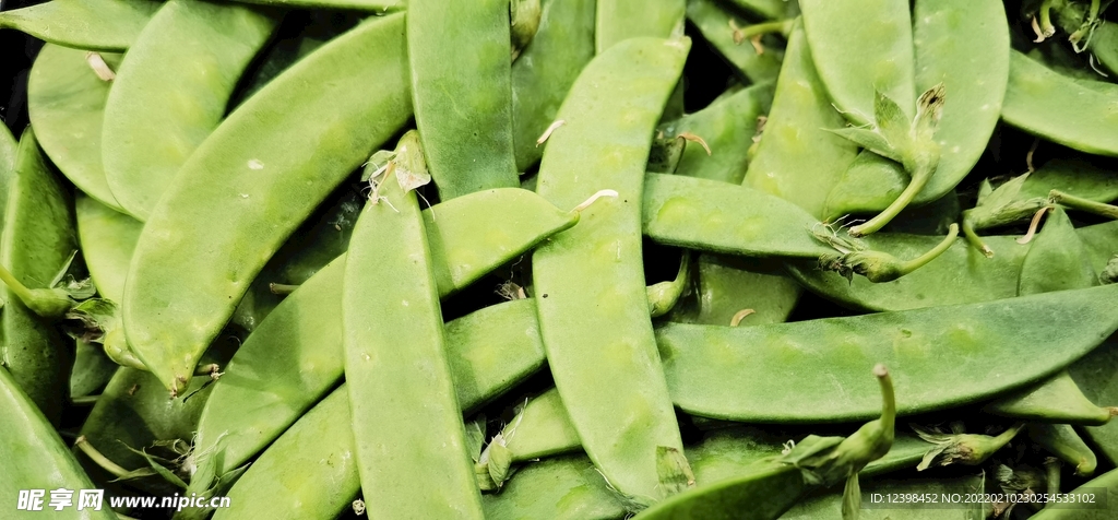 豌豆荚
