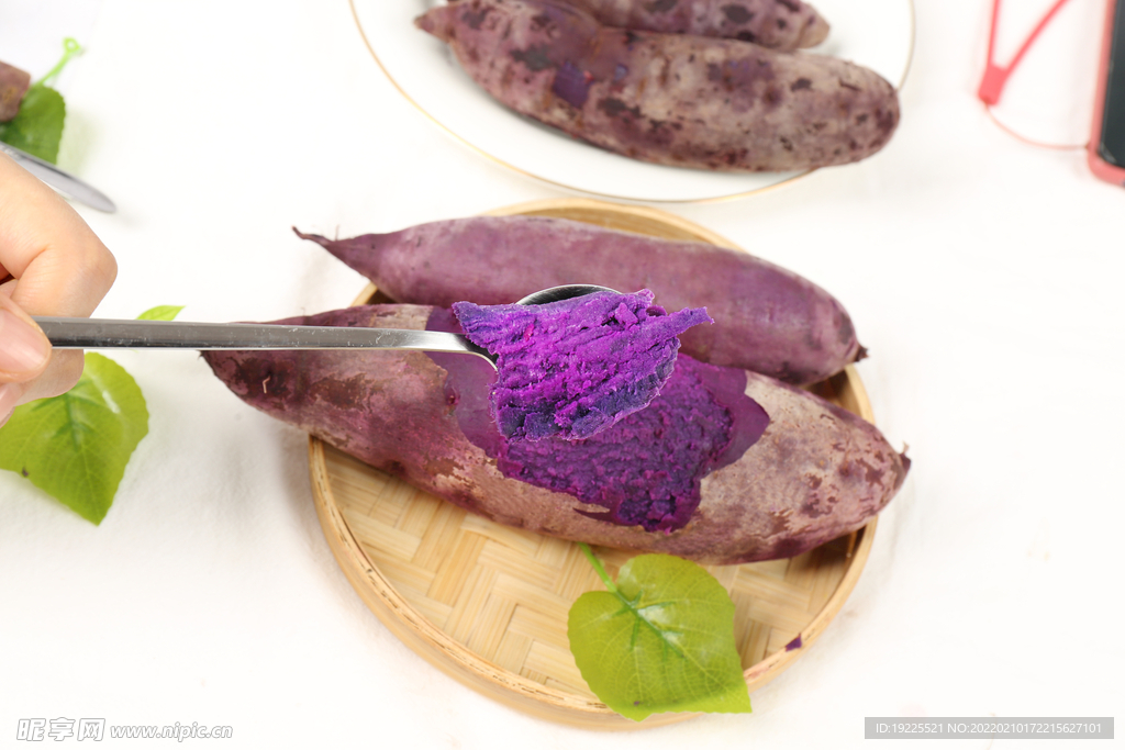 山东济玉18号紫薯