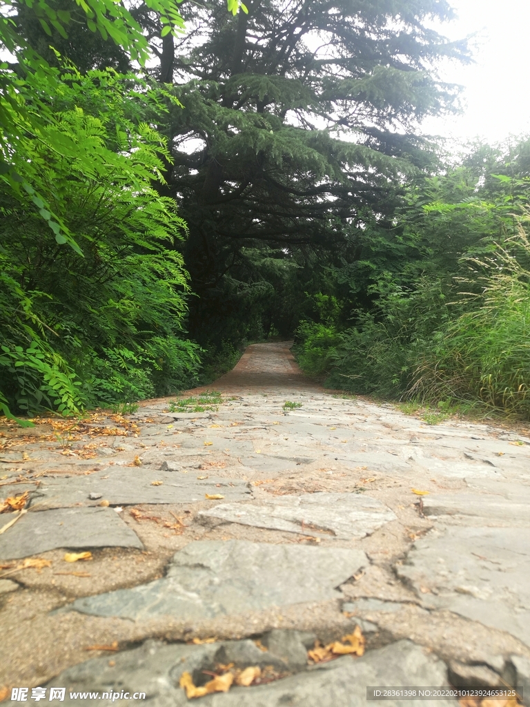 羊肠小路