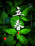 立春             