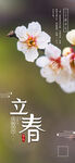 立春             