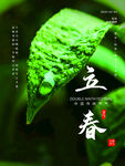 立春             