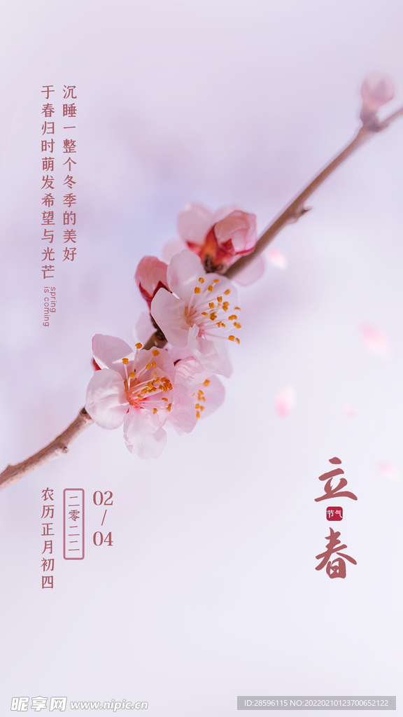 立春             