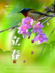 立春             
