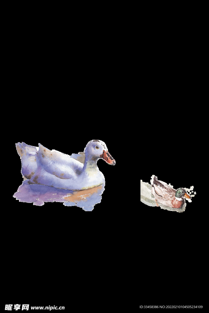 春天鸭子手绘风