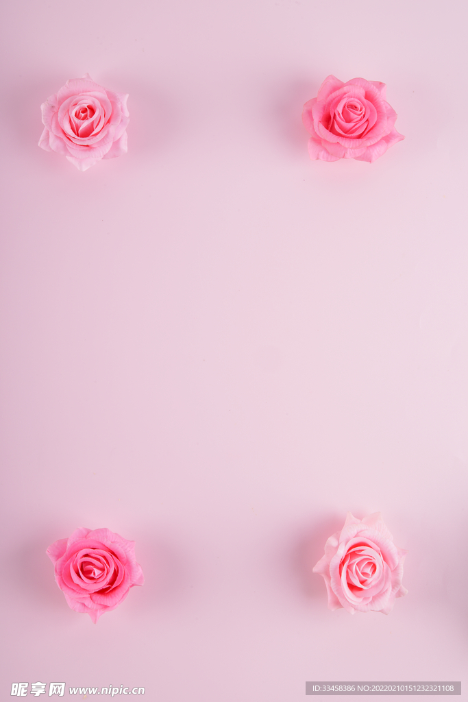 粉玫瑰妇女节元素粉色
