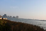 湖岸