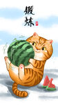 萌主猫            