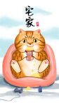 萌主猫            