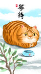 萌主猫            