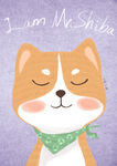 柴犬