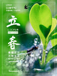 立春海报