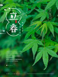 立春海报