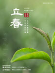 立春海报