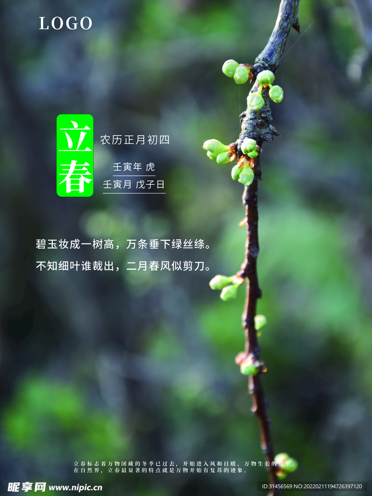 立春