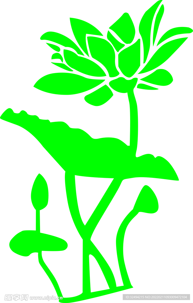 荷花