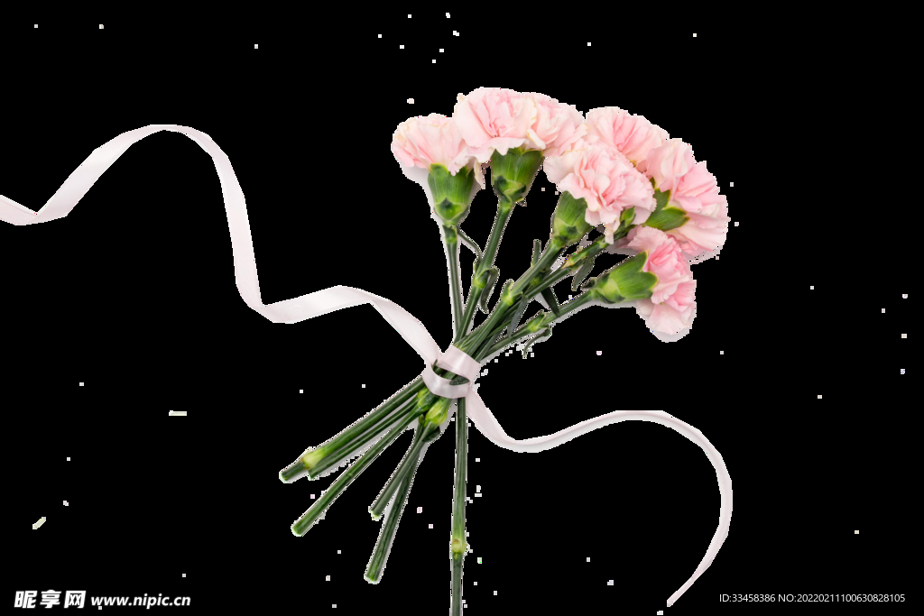 女神节粉色康乃馨