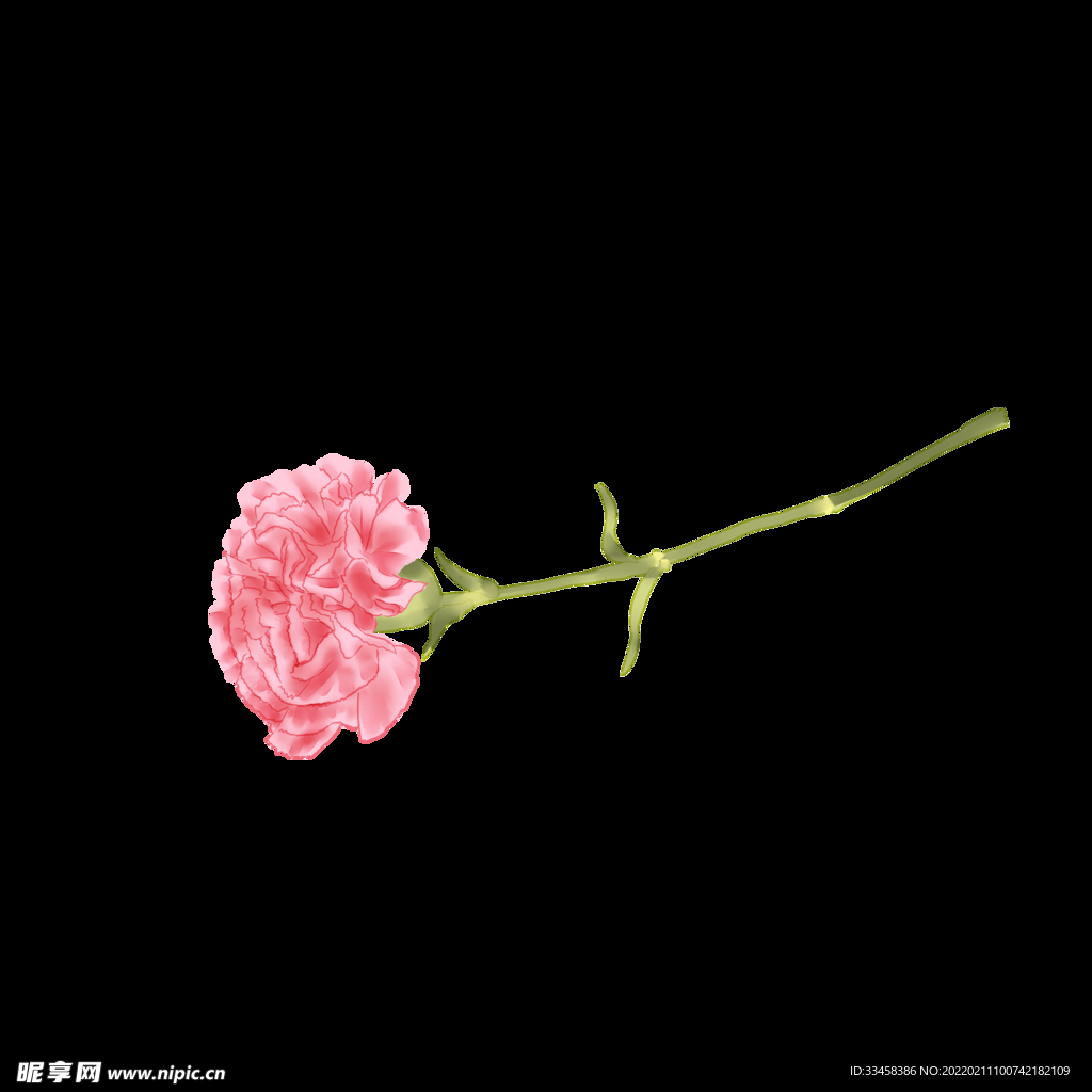 三八妇女节粉色单支康乃馨