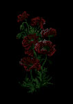 绣花花卉