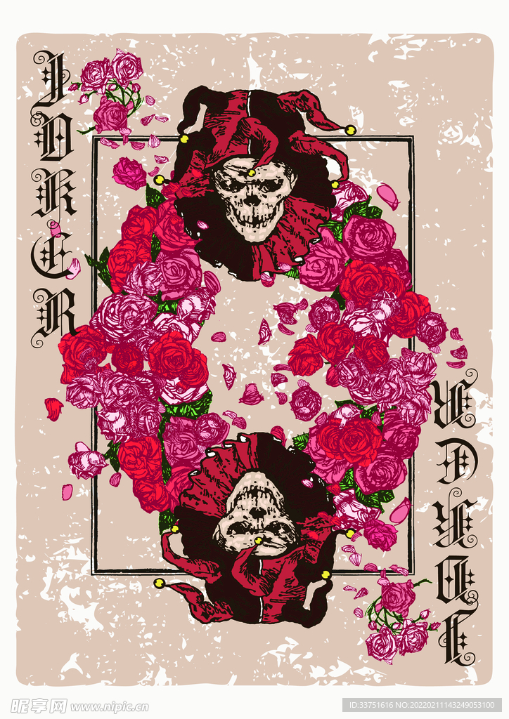 玫瑰插画
