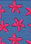 海星条纹