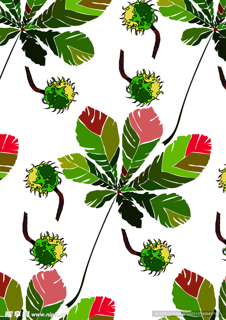 叶子植物