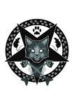 猫咪黑白