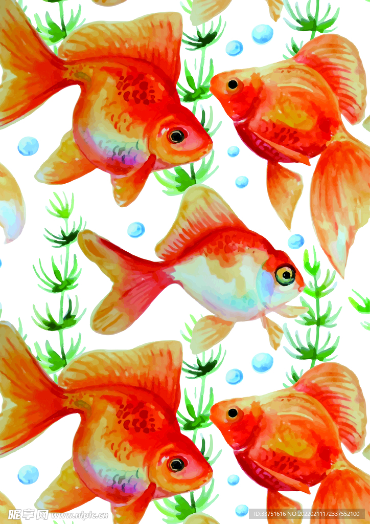 金鱼插画