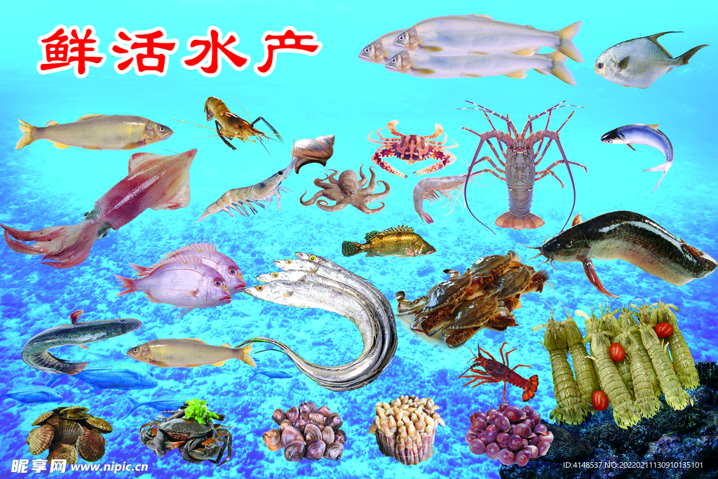 海鲜水产