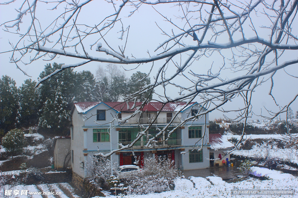 农村雪景