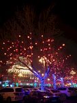 新年花灯