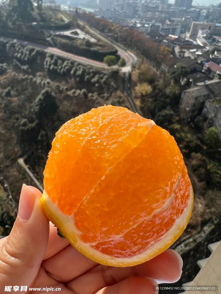 脐橙