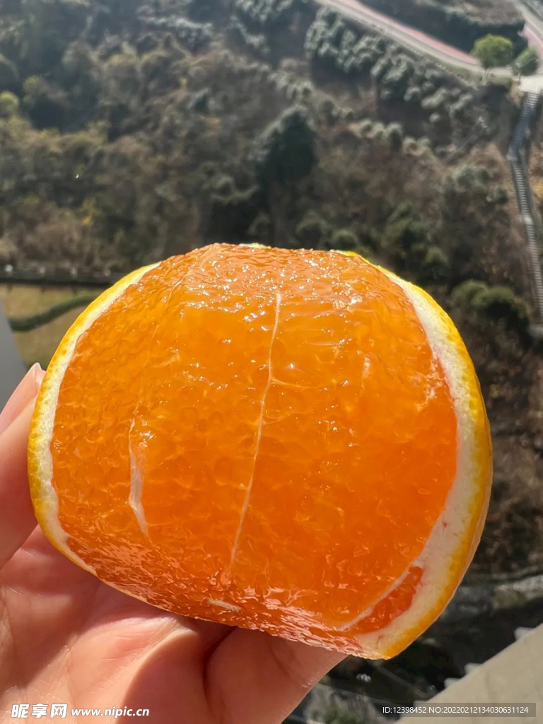 脐橙